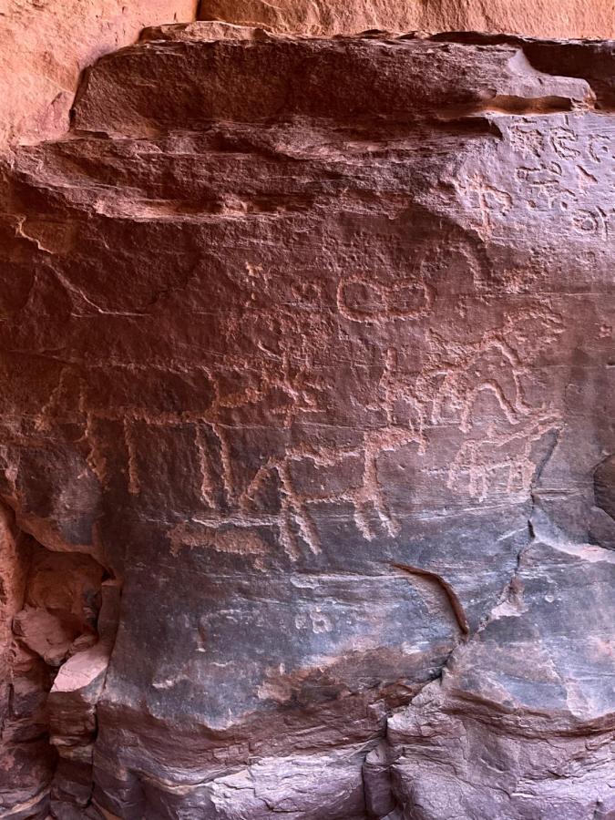 Wadi Rum Bedouin Heart Camp Dış mekan fotoğraf
