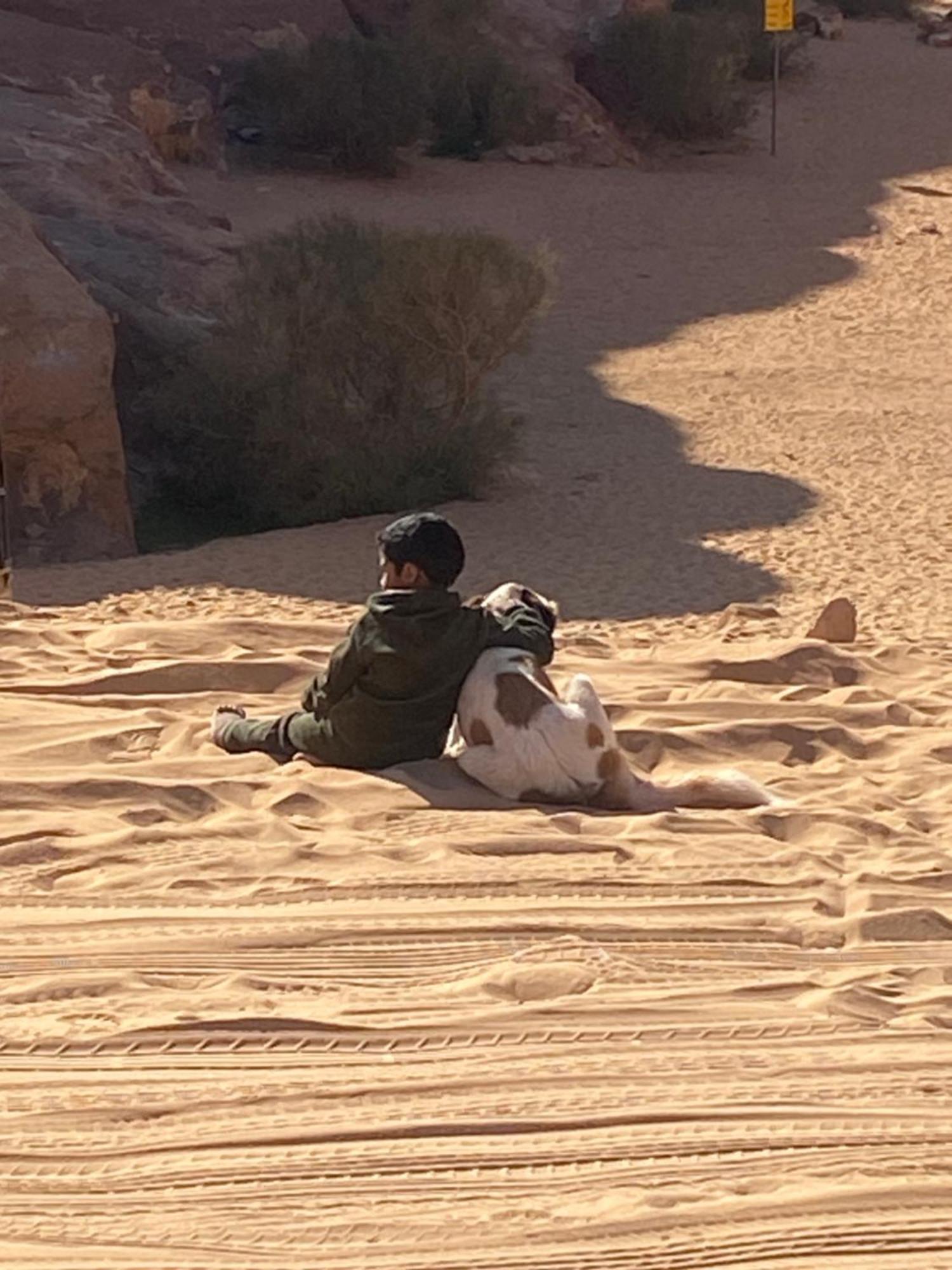 Wadi Rum Bedouin Heart Camp Dış mekan fotoğraf