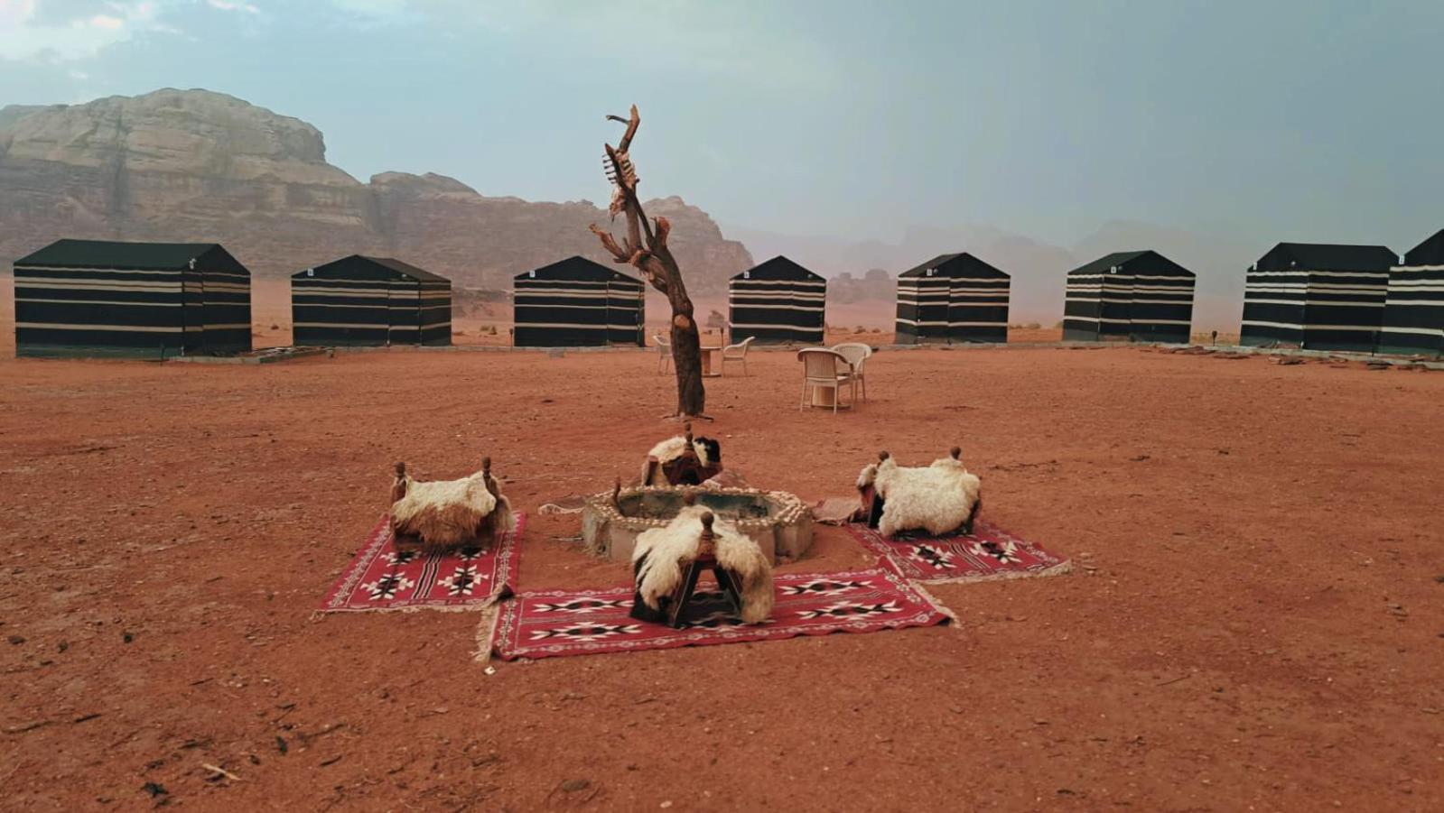 Wadi Rum Bedouin Heart Camp Dış mekan fotoğraf